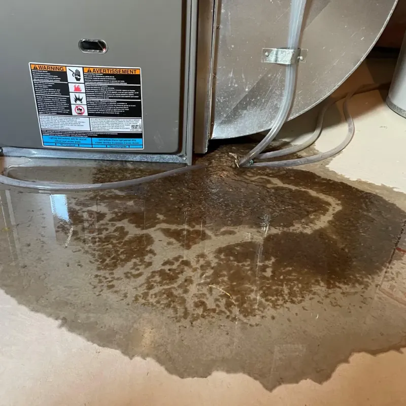 Appliance Leak Cleanup in Andover, KS