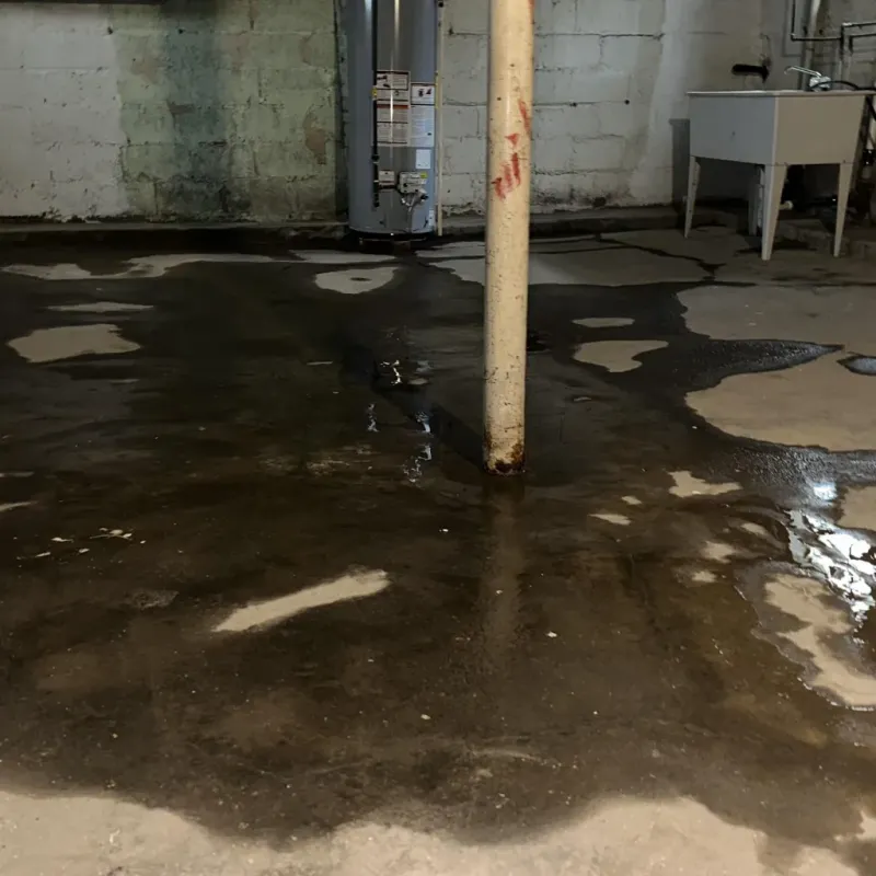 Emergency Water Extraction And Removal in Andover, KS